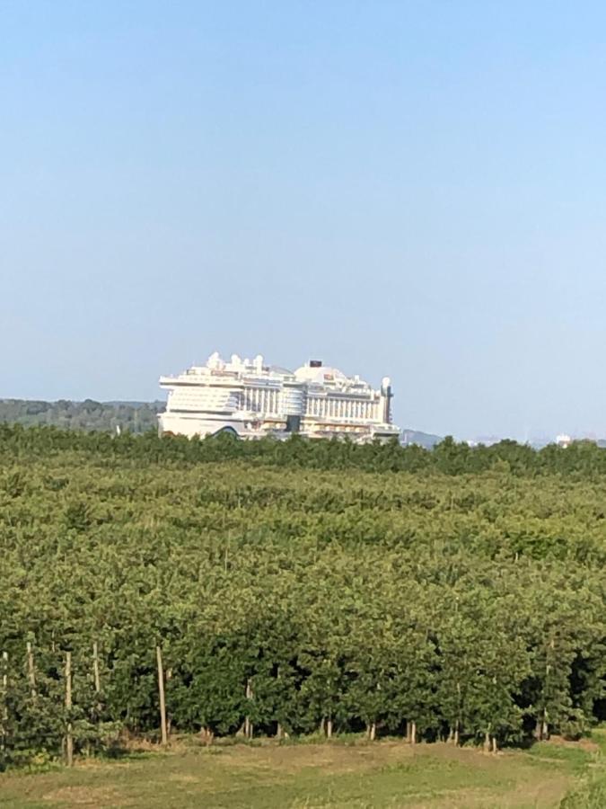 Wohnen Im Alten Land Gruenendeich Bagian luar foto